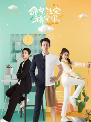 我爱扭纹柴 封面图