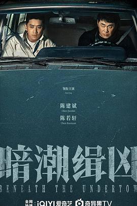 嘲笑的淑女 封面图